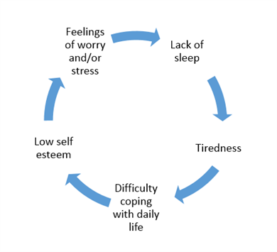 Better Sleep Wellness Wheel